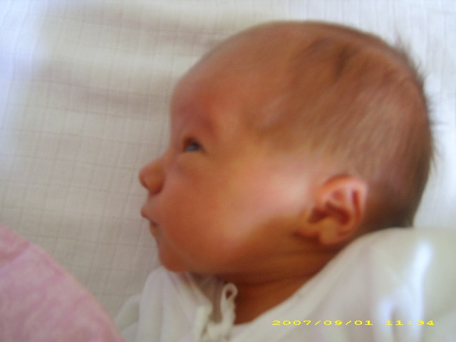 mini-IMG_0125.JPG